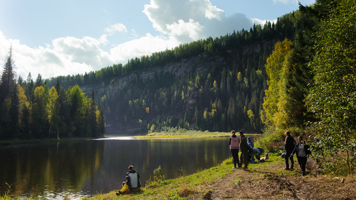 Чёрным лесорубам перекроют кислород: После поручения Путина в правительстве разработали план