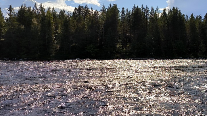 В Чувашии найдено тело ребёнка с затонувшего на Волге катера