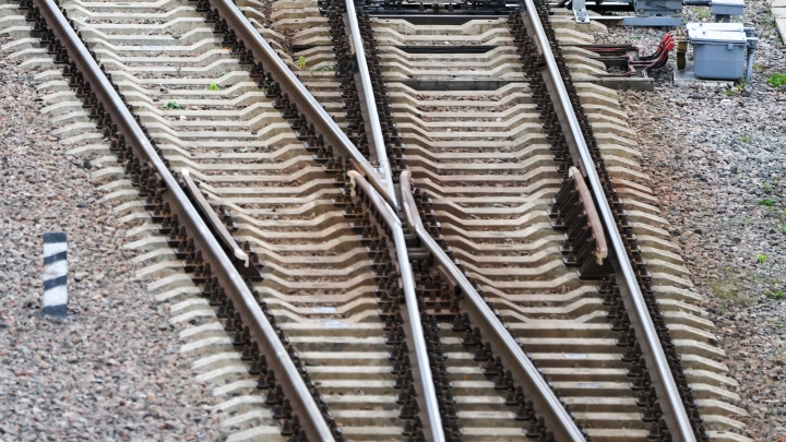 В Забайкалье поезд раздавил огромное стадо редких антилоп