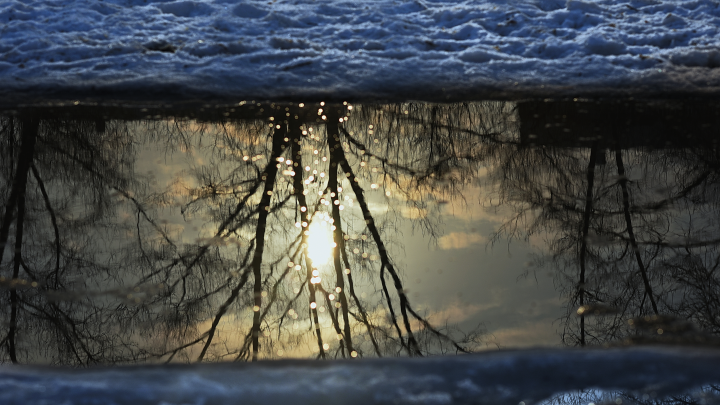 Синоптики назвали точную дату начала весенней оттепели в Москве и Подмосковье