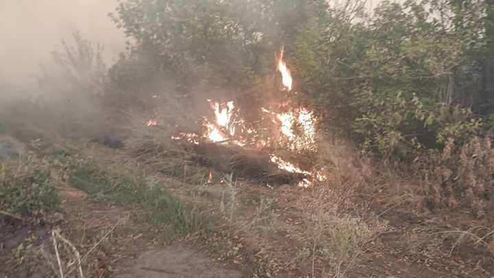 Лесной верховой пожар уничтожил за ночь 32 жилых дома в Усть-Донецком районе