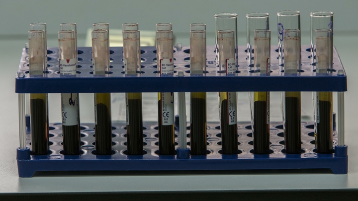 Китайцы призвали США к ответу за происхождение коронавируса