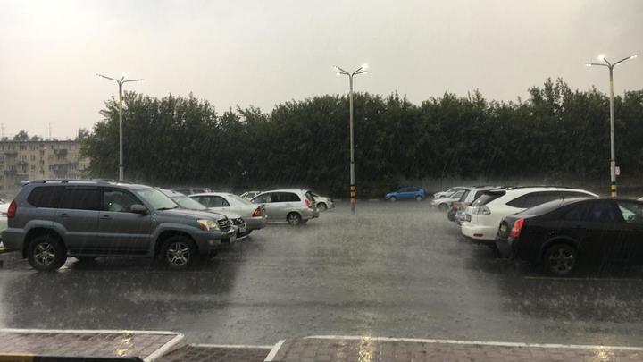 Град побил урожай садоводов в Новосибирской области