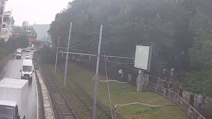 В Краснодаре дерево, упавшее дерево рядом с Вишняковским сквером, остановило движение трамваев