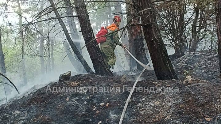 Неизвестный поджёг лес в Геленджике