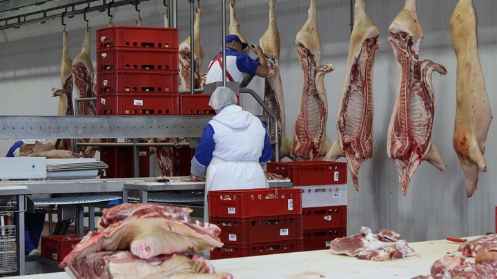 В Ростовскую область попала продукция, зараженная АЧС