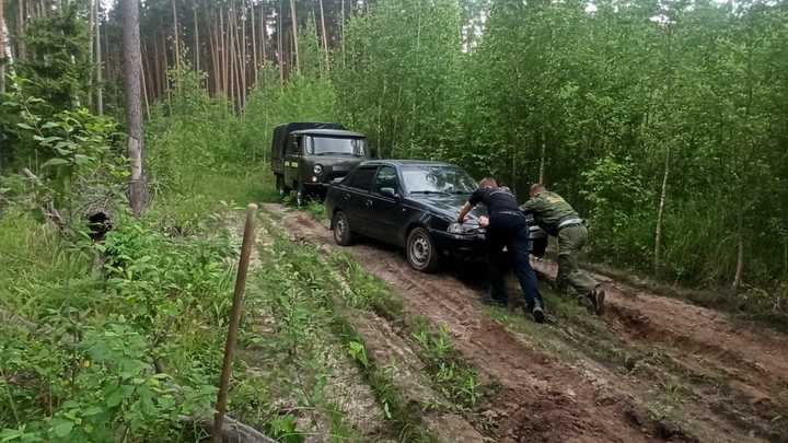 В Луховицах лесники вытолкали застрявший в грязи автомобиль любителя ягод