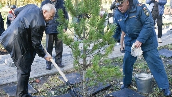 Во Владимире открыли стелу и высадили 13 кедров в память о пожарных-фронтовиках