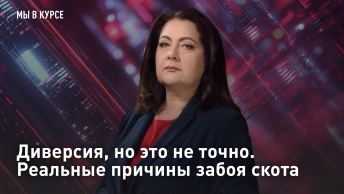 Диверсия, но это не точно. Реальные причины забоя скота