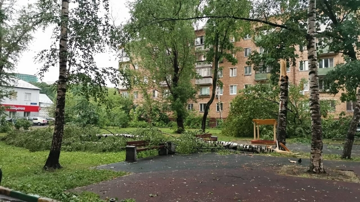 От урагана в Новосибирске попадали деревья. Одно из них придавило ребёнка