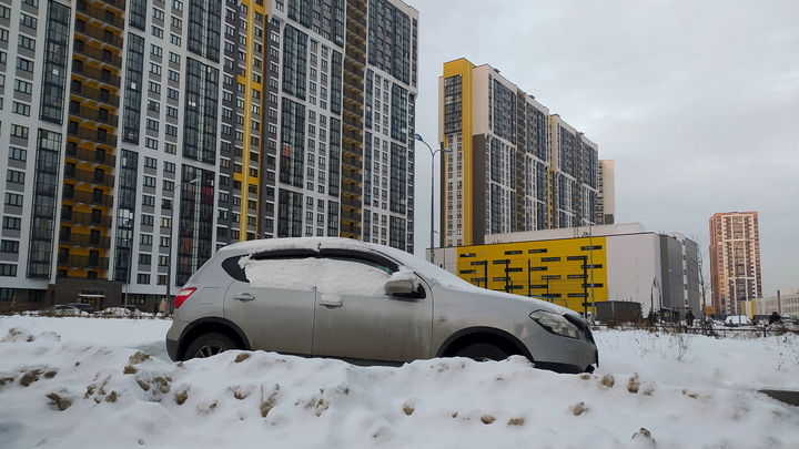 В Подмосковье полиция задержала двух грабителей за нападение на автолюбительницу