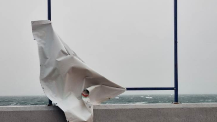 Последствия урагана в Сочи: В одном из районов курорта упавшее дерево насмерть придавило мужчину