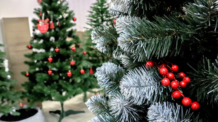 Новогодний развод. Юрист предупредил: Готовьтесь