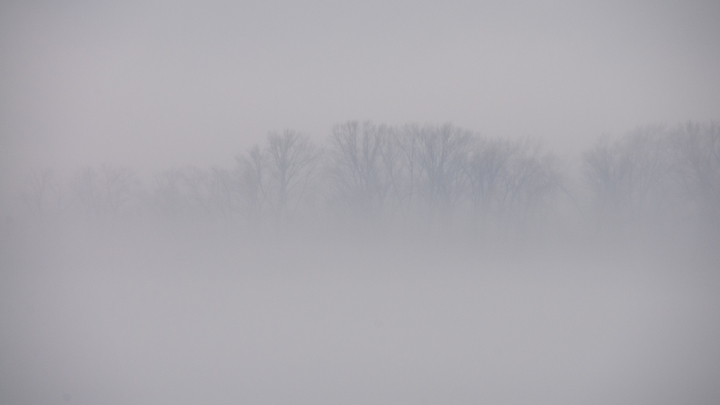 Перевозку транспорта на паромах из Крыма в Краснодарский край прекратили из-за тумана