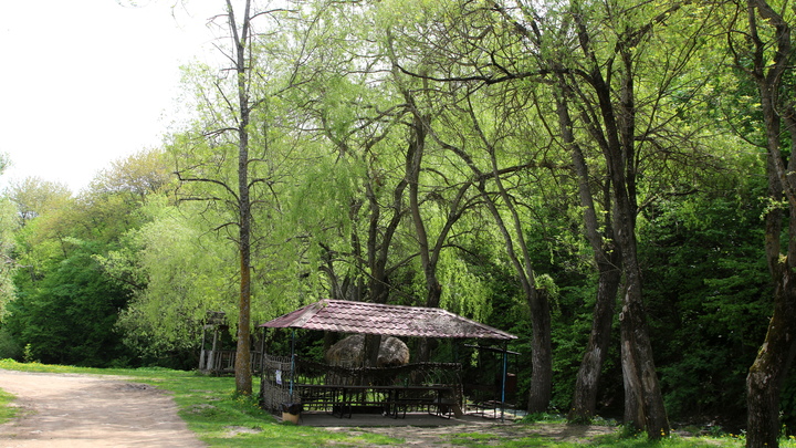 Дары весны: Самые полезные сезонные продукты перечислила диетолог