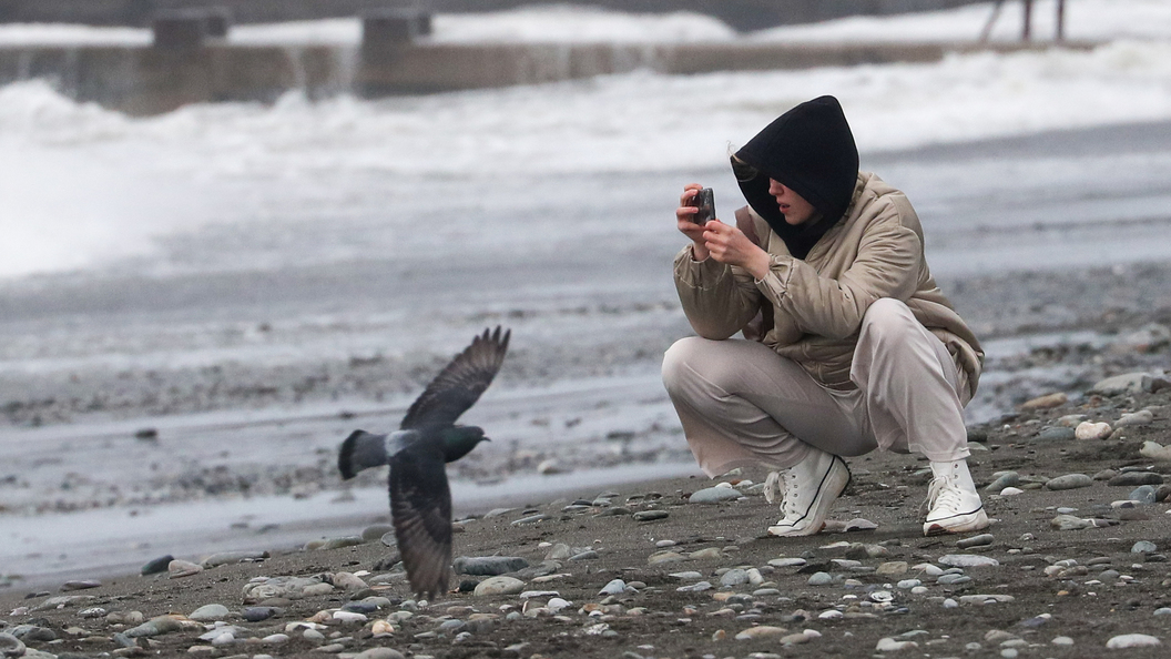 Без паники! Эксперт рассказал, как спасти упавший в воду телефон