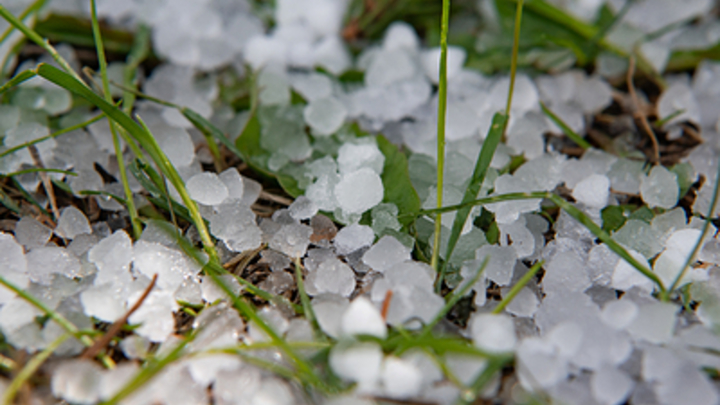 Гигантский град в форме кораллов выпал в Новосибирской области