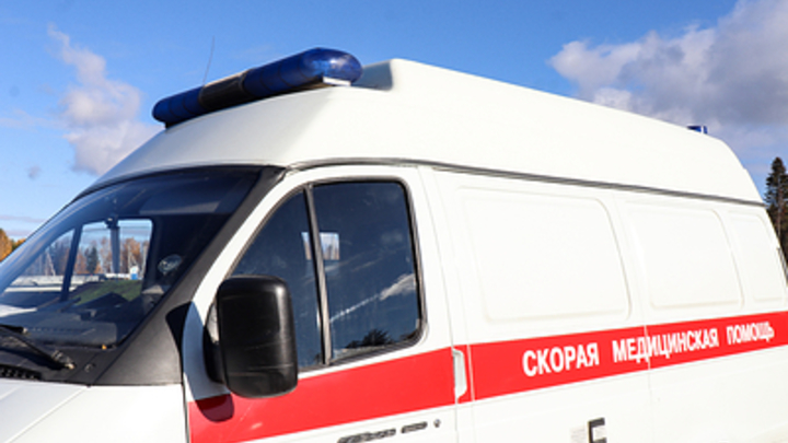 Запорожская область получила по госпрограмме почти 70 автомобилей скорой помощи