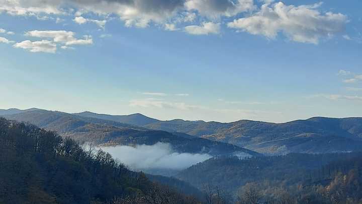 На выходные на Кубани похолодает и пройдут дожди