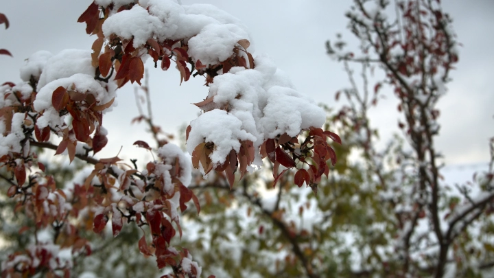 Когда настанет зима в Москве: синоптик назвала точную дату снежного покрова