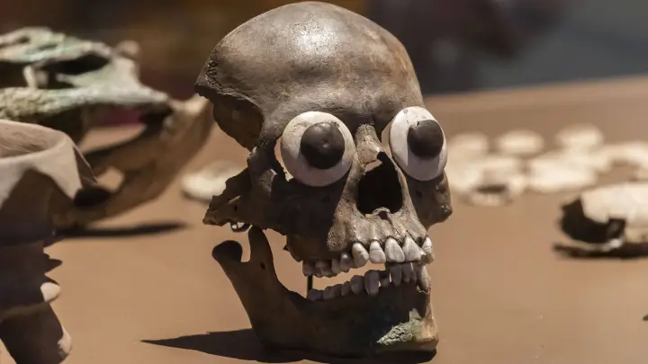 Русские олигархи наводят первобытный страх: Откровения о свистках смерти, которые мы заслужили