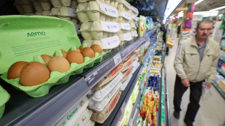 Облизывают яйца ради миллиона: жители Екатеринбурга сознательно пытаются заразиться сальмонеллезом