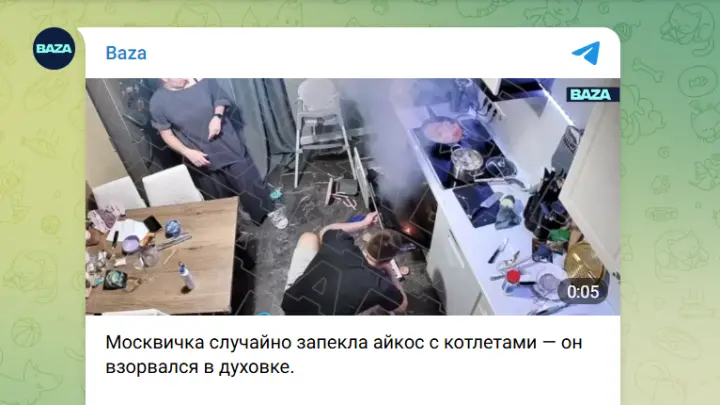 Москвичка случайно запекла айкос с котлетами и устроила взрыв в духовке