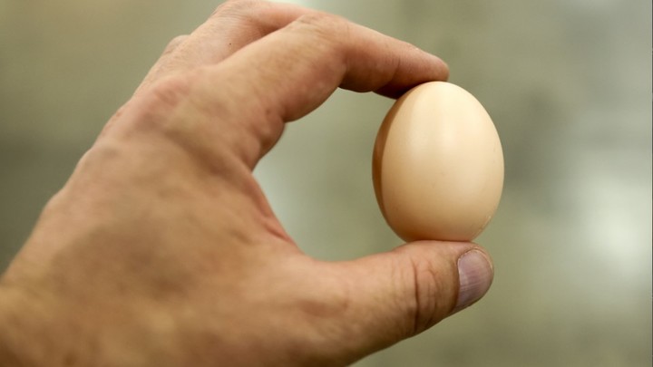 Украинские яйца раздора: Болгария требует запретить продукт