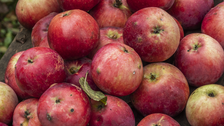 Свердловскстат назвал единственный социально-значимый продукт, который подешевел в 2021 году