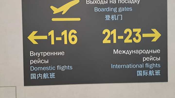Прилетевших в Новосибирск 49 мигрантов не выпустили из самолёта