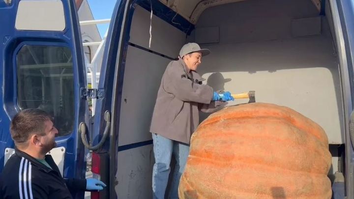 В Краснодарском крае вырастили тыкву в 570 кг