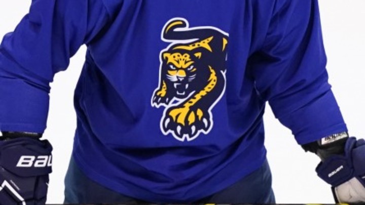 Ледовое побоище: Матч Сочи и Авангарда начался массовой дракой