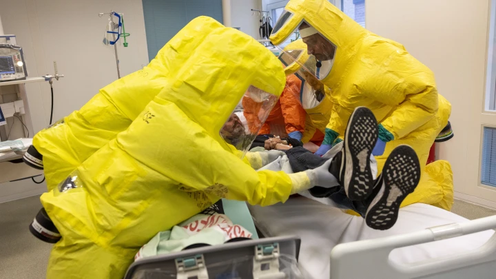 50 человек умерло от загадочной болезни. Вспышка из-за летучей мыши. Опять