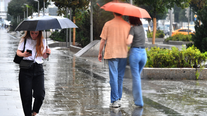 Ныряющий циклон принесёт в Новосибирск дожди и грозы