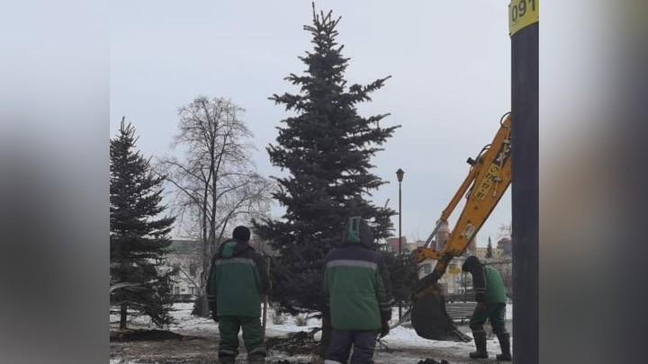 Перед Новым Годом челябинские елки возьмут под видеонаблюдение