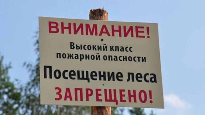 Жителям Ростовской области вновь запретили посещать леса