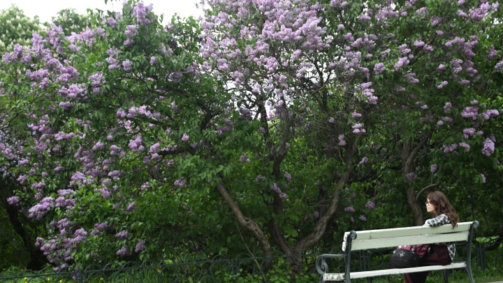 Собянин: За год работы парк Яуза стал популярным местом отдыха москвичей