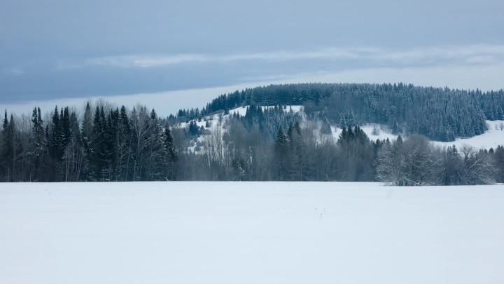 Телефон не замолкает: Семью Усольцевых могут найти сегодня вечером