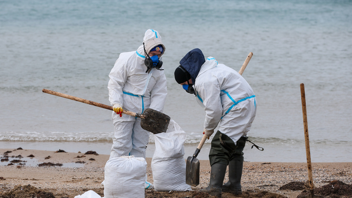 В Анапе в зоне загрязнения мазутом откроют еще два центра для спасения птиц