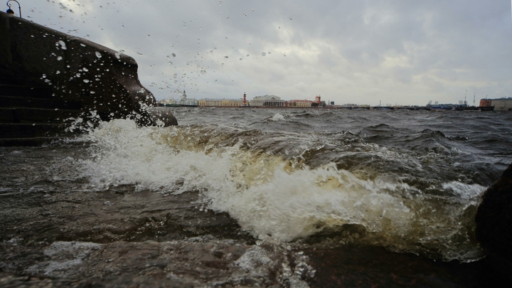 В Санкт-Петербурге наводнение: Монрепо затопило, Васильевскому острову приготовиться