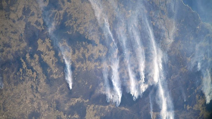 Уральский Бэмби: челябинские пожарные вытащили из огня оленёнка. Спасение попало на видео