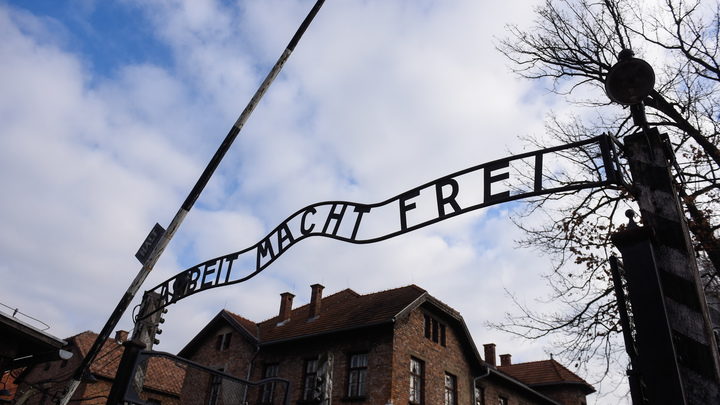 Вот такая дурка запускается потихонечку: Эксперт назвал цель статьи об американцах, освободивших Освенцим