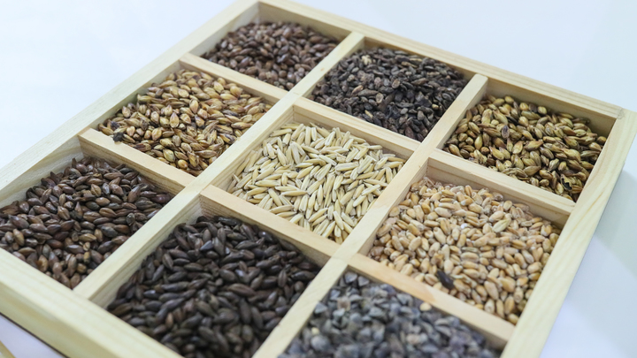 На Запорожье внедряют систему мониторинга рынка зерна