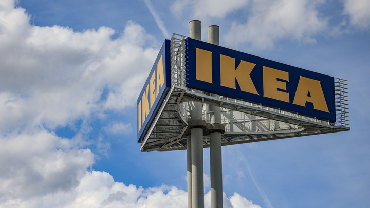 Игрушечные акулы из IKEA снова появятся на прилавках Петербурга