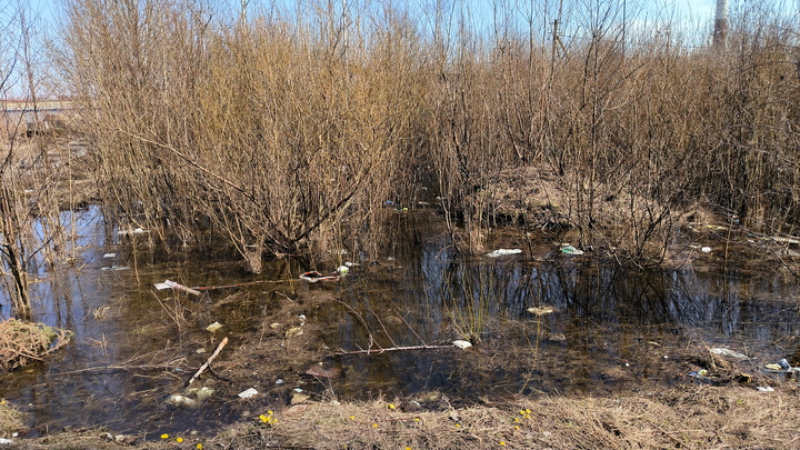 На Камском водохранилище началось половодье. Частные дома в опасности