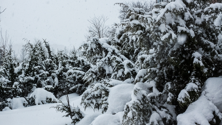 Весна не спешит, точка для отечественного футбола и еще один релокант: новости к утру 26 февраля