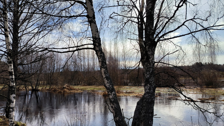 Аномальные показатели. Синоптики поделились прогнозами на неделю в России