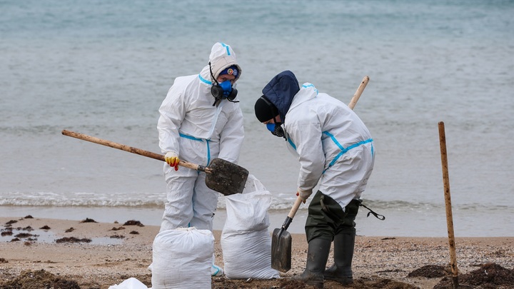 Эксперт рассказала об опасности употребления морепродуктов из зоны ЧП на Кубани