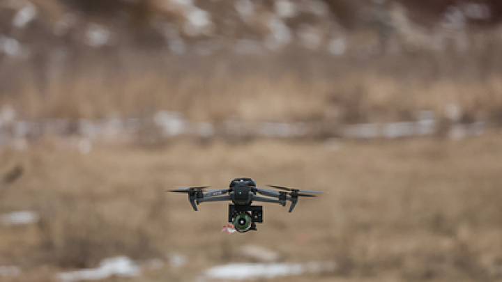 Baza: Ушедший вслед за отцом на фронт трансгендер* Вишневский погиб в зоне СВО