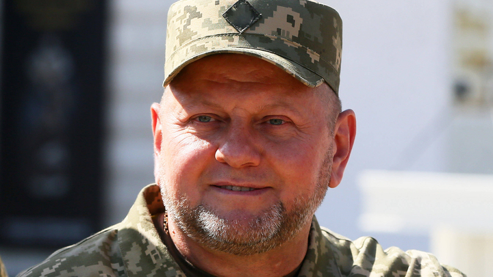 Офис Зеленского заставил МИД нарушить нормы дипломатии при назначении Залужного послом